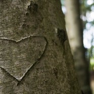 Many Kinds of Love